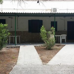 Studio con letto king size